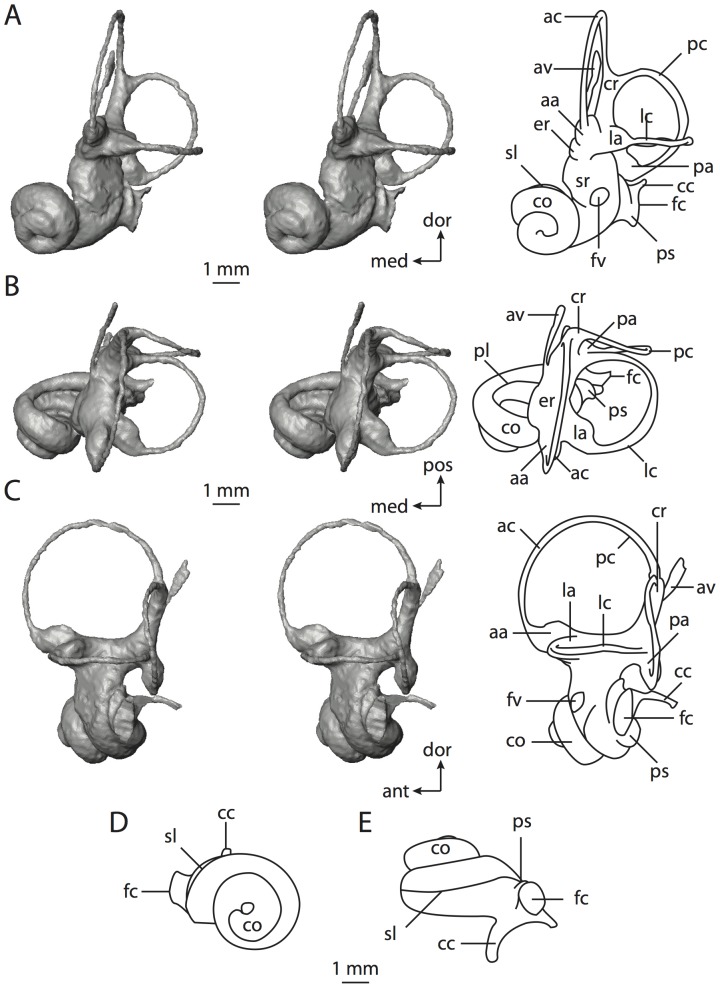 Figure 58