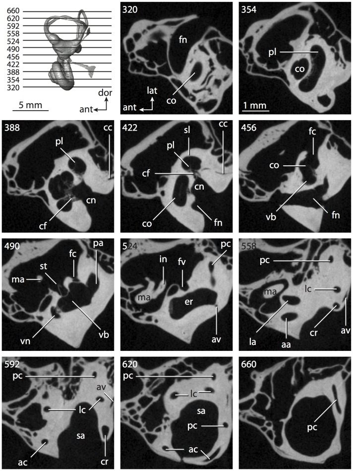 Figure 63