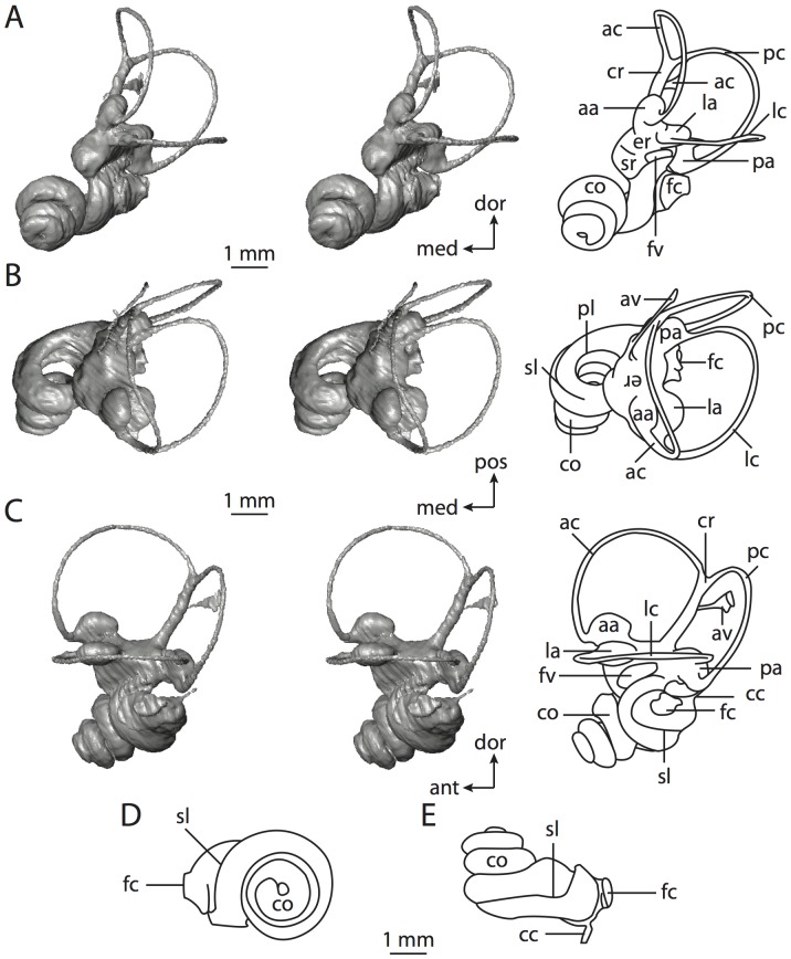 Figure 68