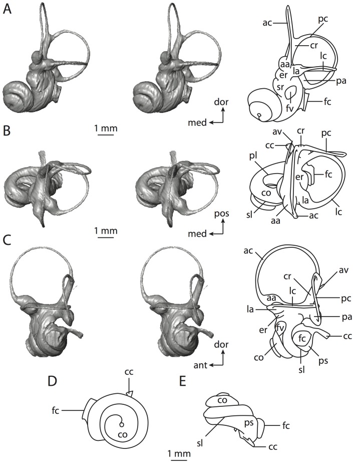 Figure 60