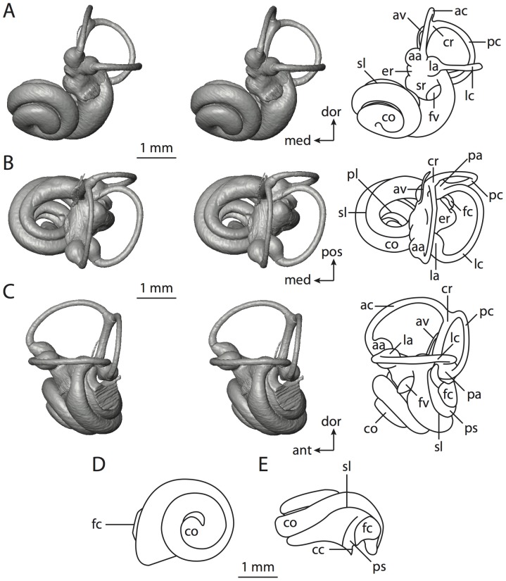 Figure 48