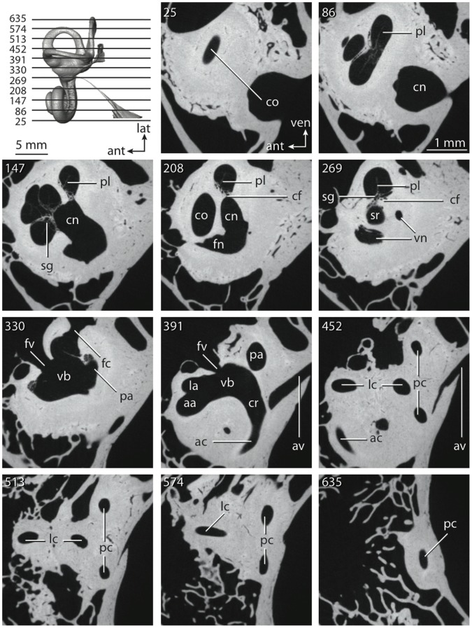 Figure 65