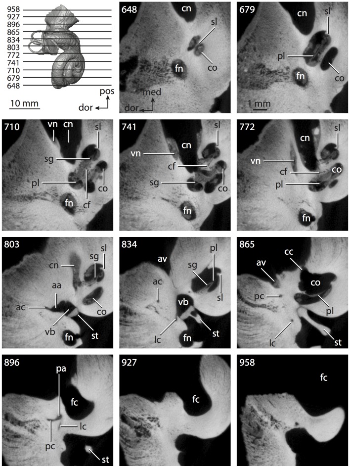 Figure 29