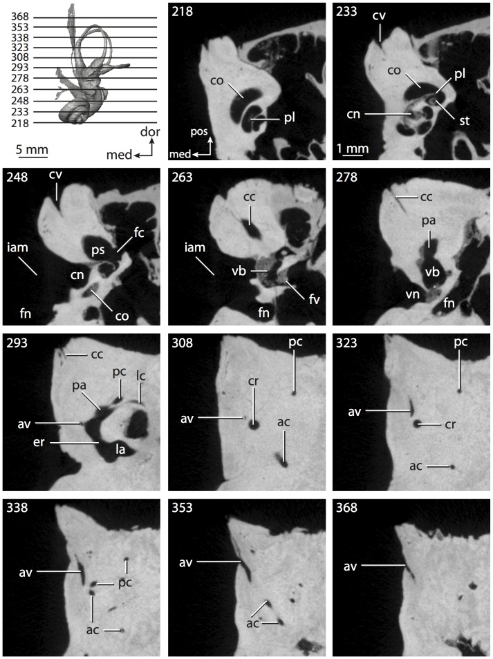 Figure 33