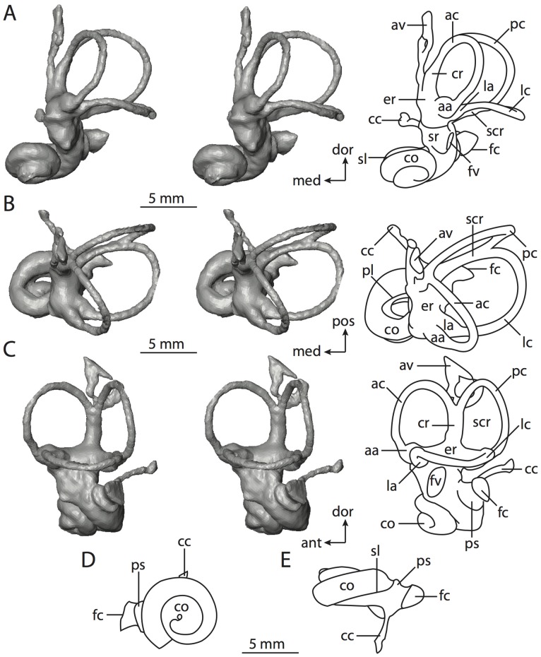 Figure 14