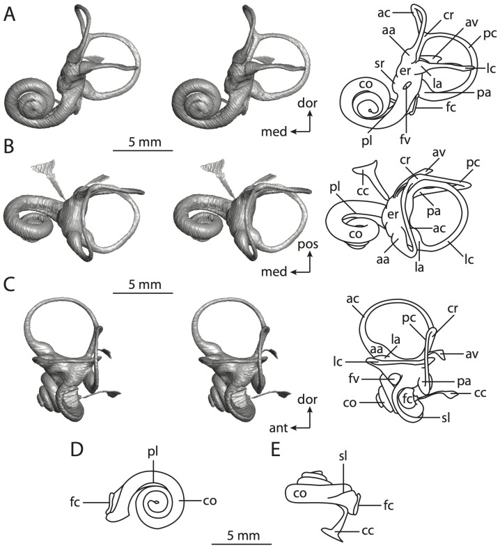 Figure 62