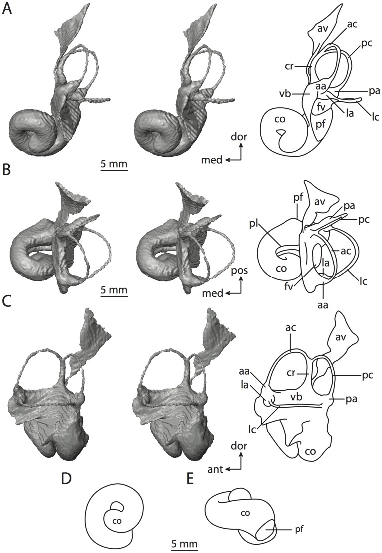 Figure 18