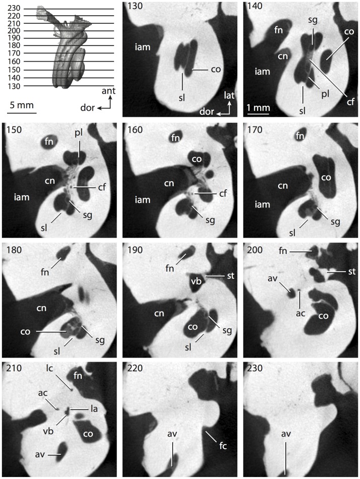 Figure 31