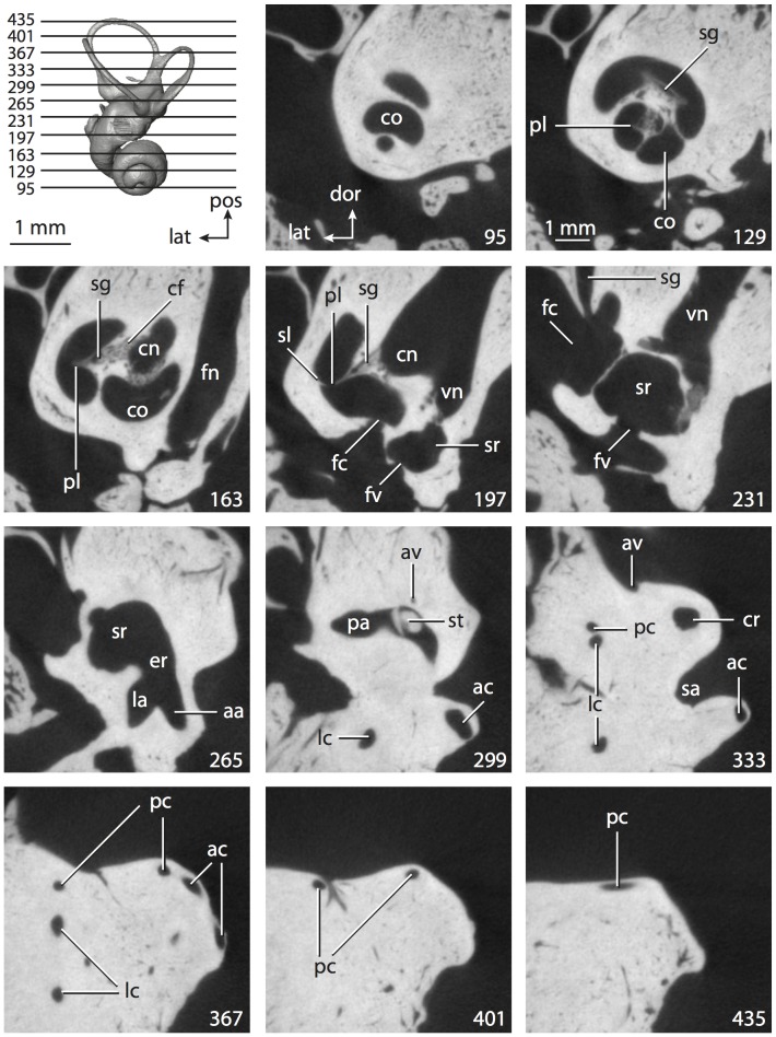 Figure 37