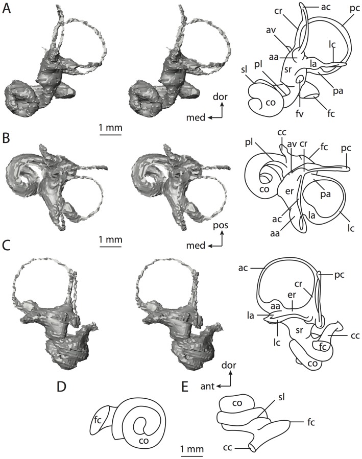 Figure 50