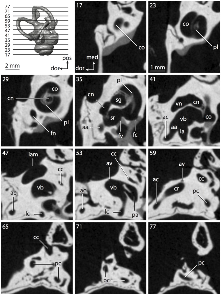 Figure 41