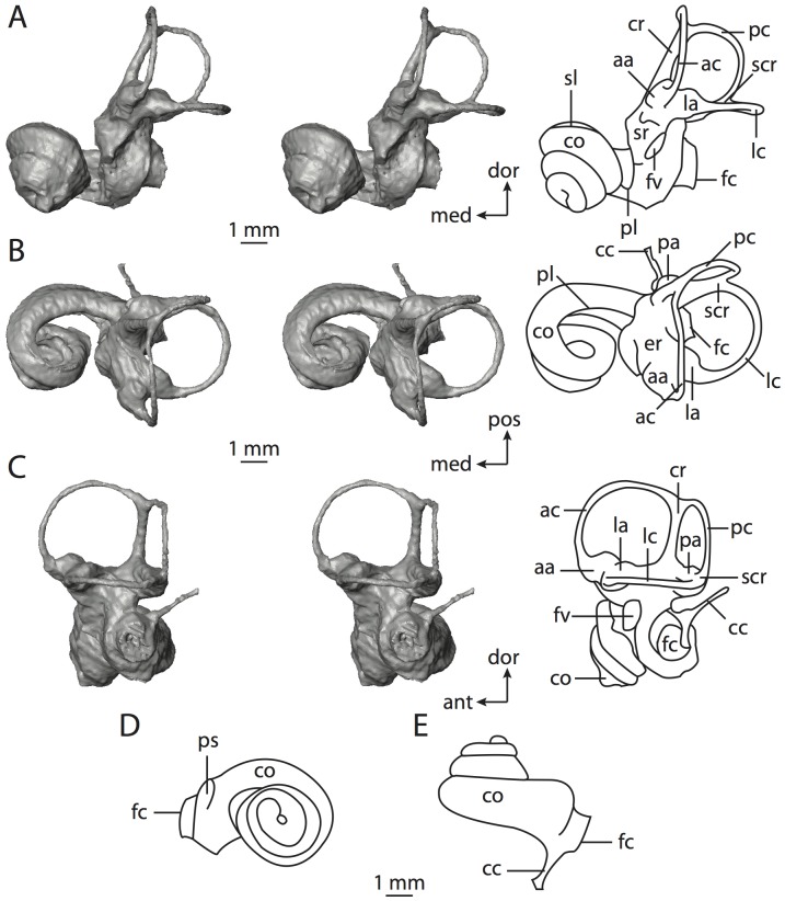 Figure 34