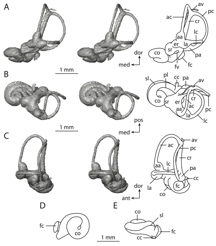 Figure 52