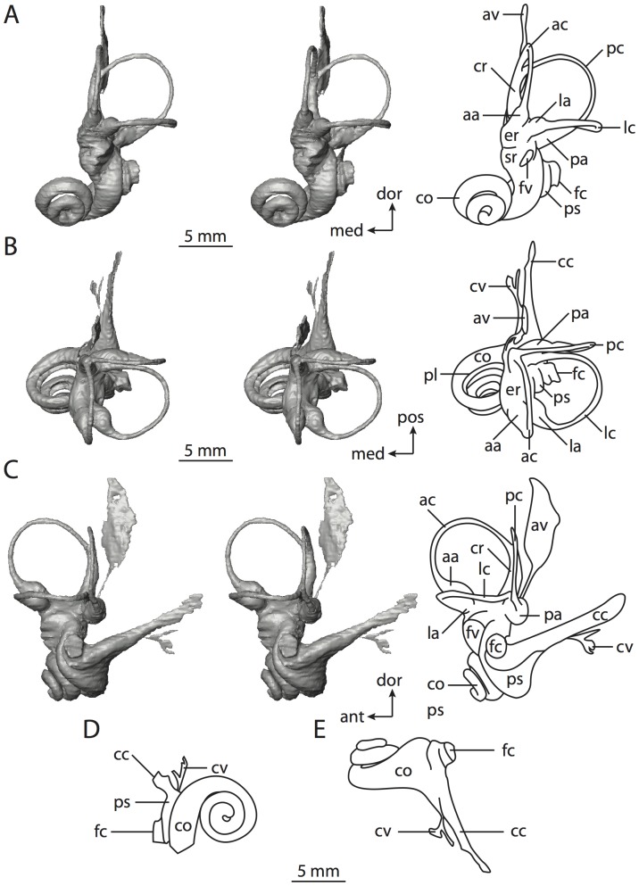 Figure 32