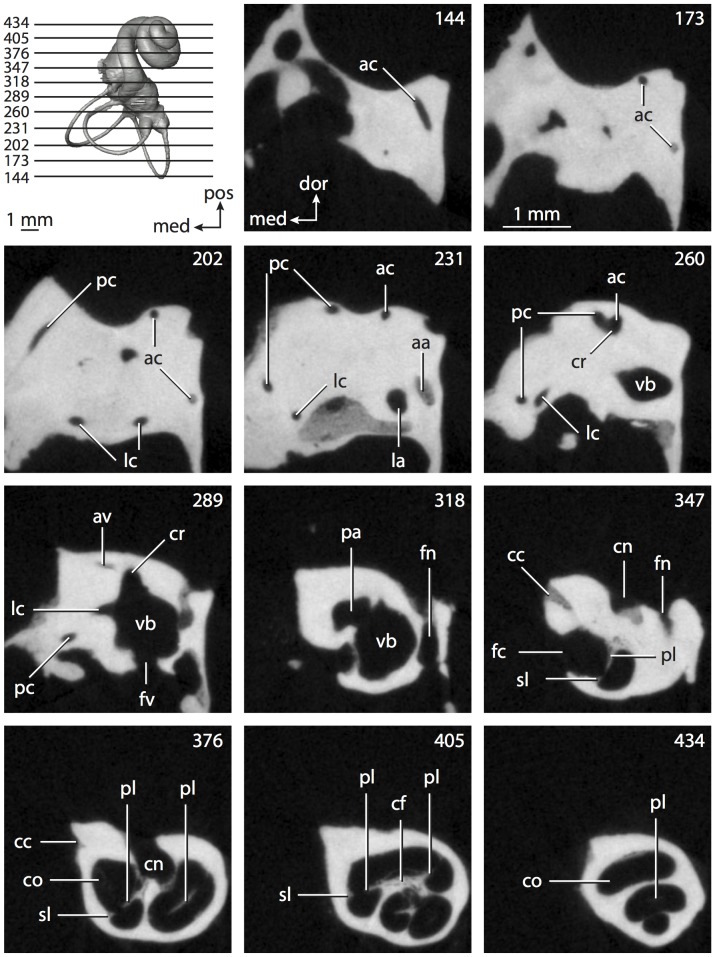 Figure 23