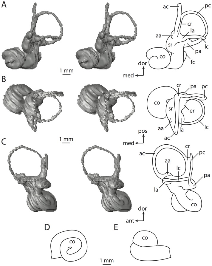 Figure 24