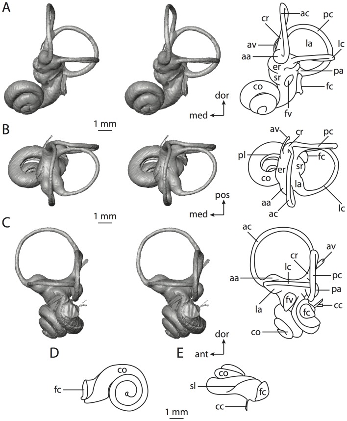 Figure 66