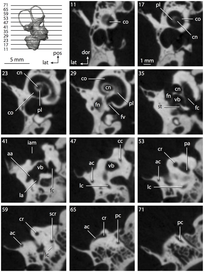 Figure 35