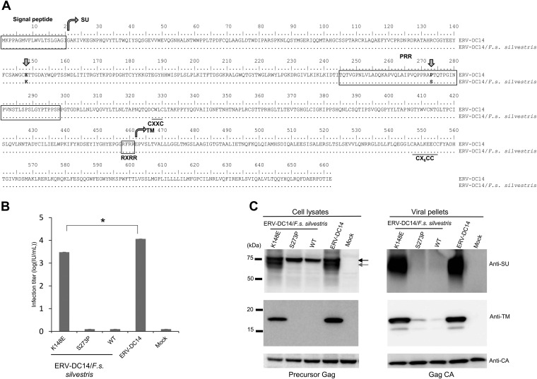 FIG 3