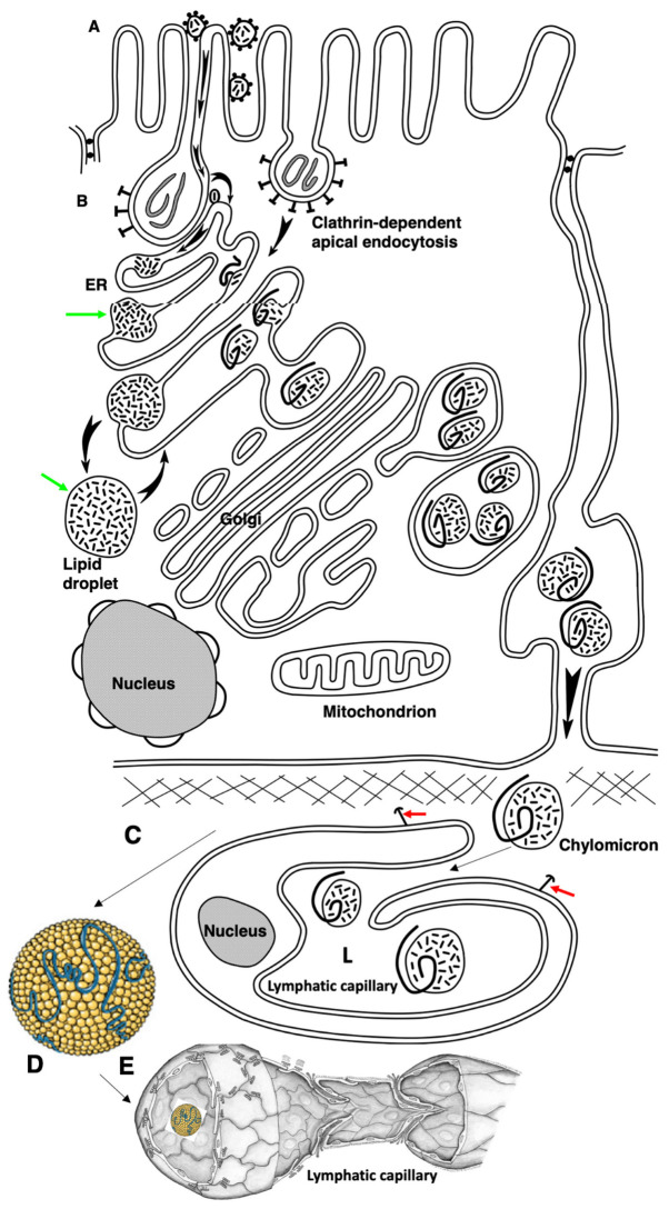 Figure 10