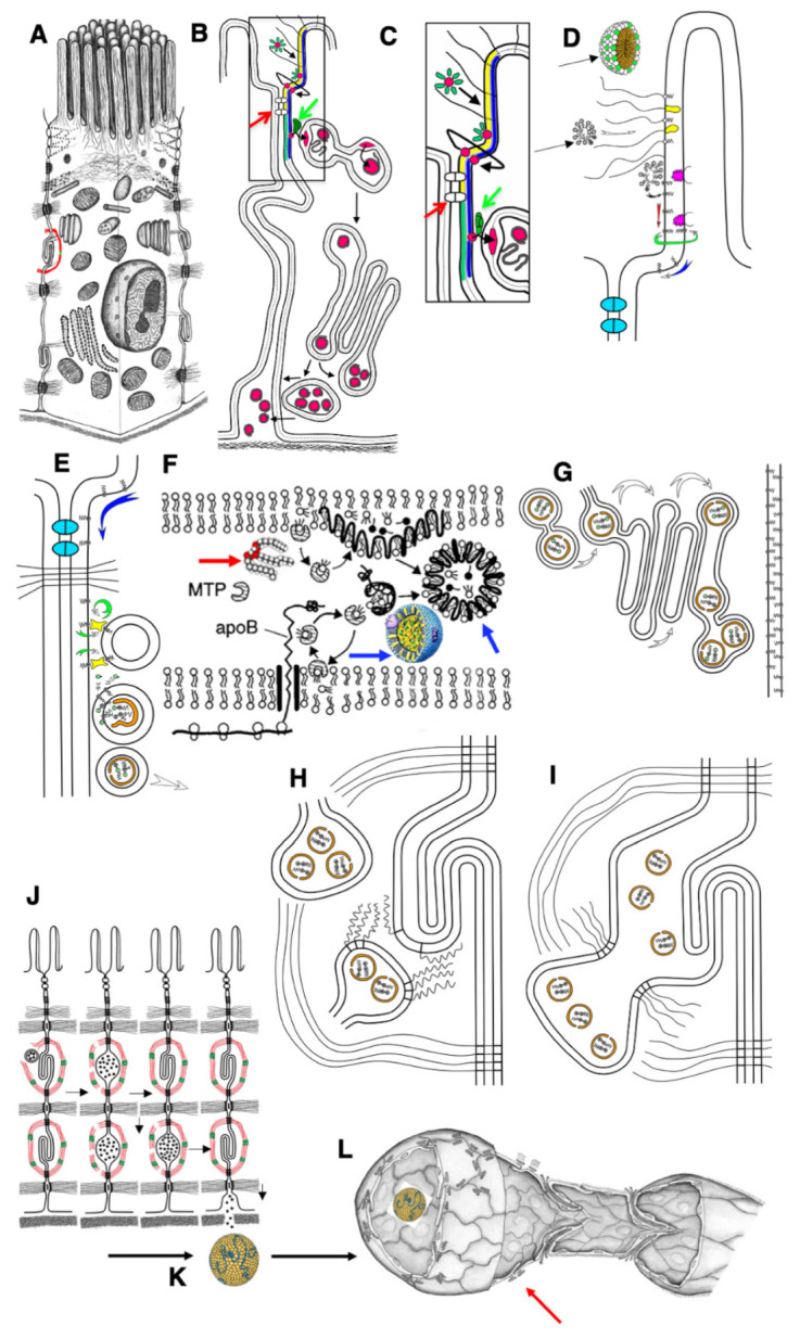 Figure 9