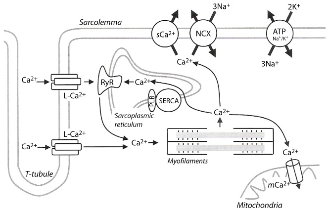 Figure 2.