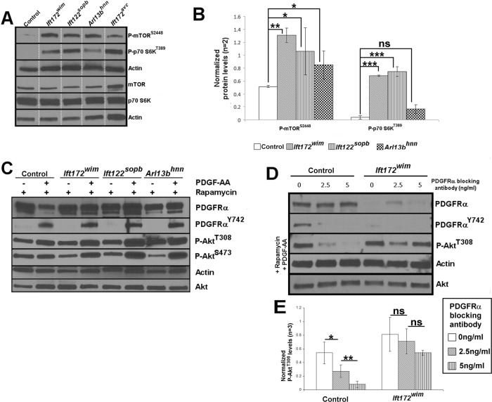 FIGURE 4: