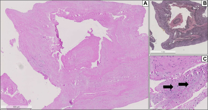 Figure 6