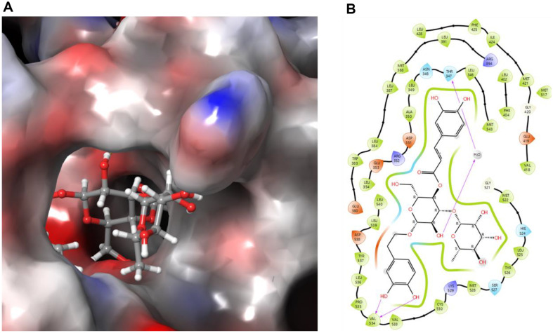 Fig. 7