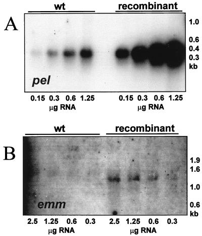 FIG. 5