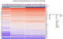 The heatmap displays expression levels of genes within various UC clusters; it shows clusters, gender, age, and severity, detailing how genes are upregulated within the UC pathways.
