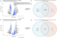 Cancer, Biology, Gene, Expression, UC, CD, Volcano, Plots, Venn, Circles, Significant, Differential, Analysis, Clusters, Log2FC, Log2FC, Cluster, 16