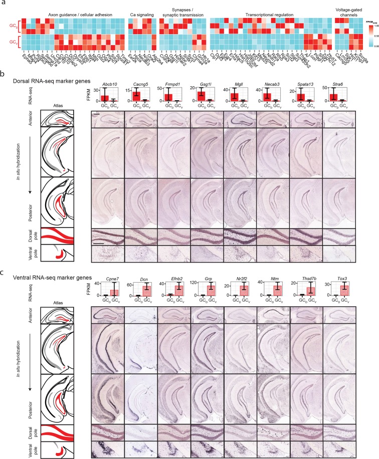 Figure 5—figure supplement 1.