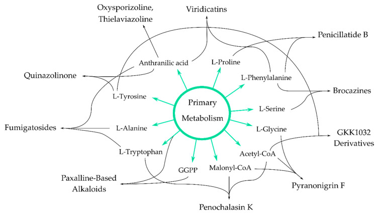 Figure 9