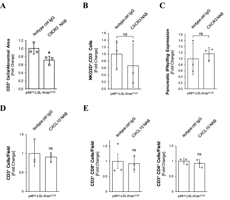 Figure 4—figure supplement 2.