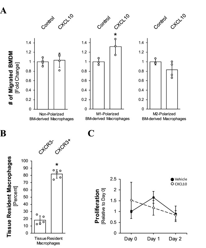 Figure 2—figure supplement 1.