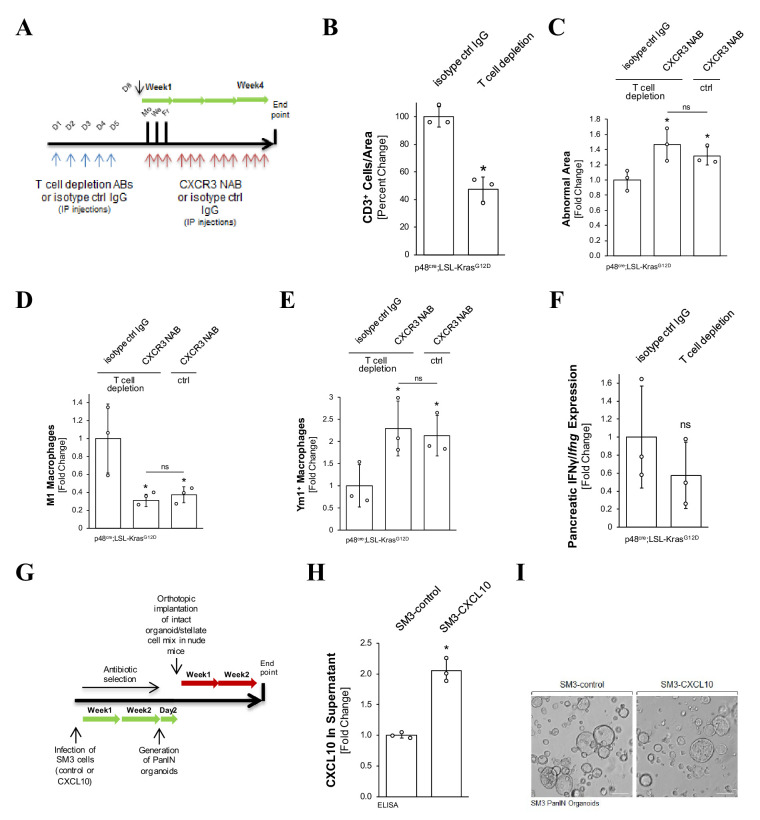 Figure 4—figure supplement 3.