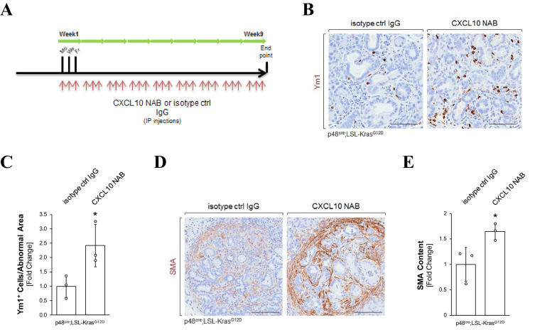 Figure 4—figure supplement 1.