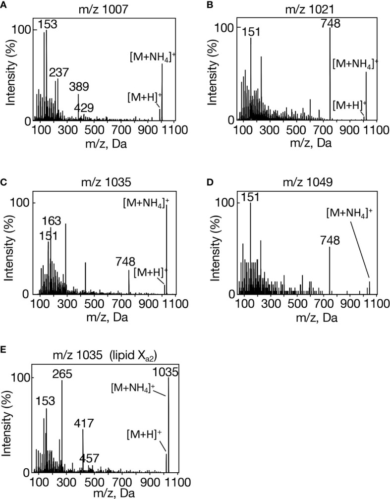 Figure 2