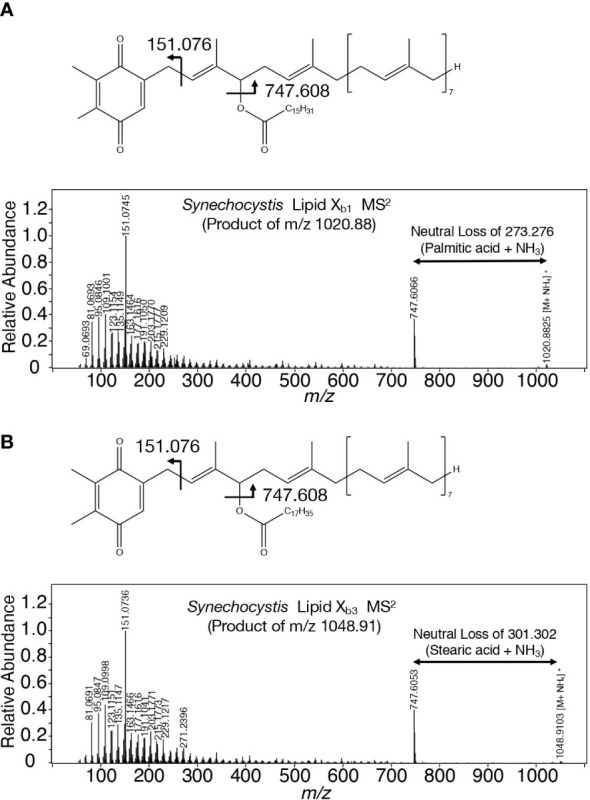 Figure 6