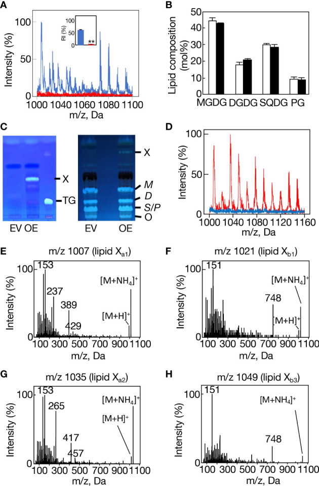 Figure 4