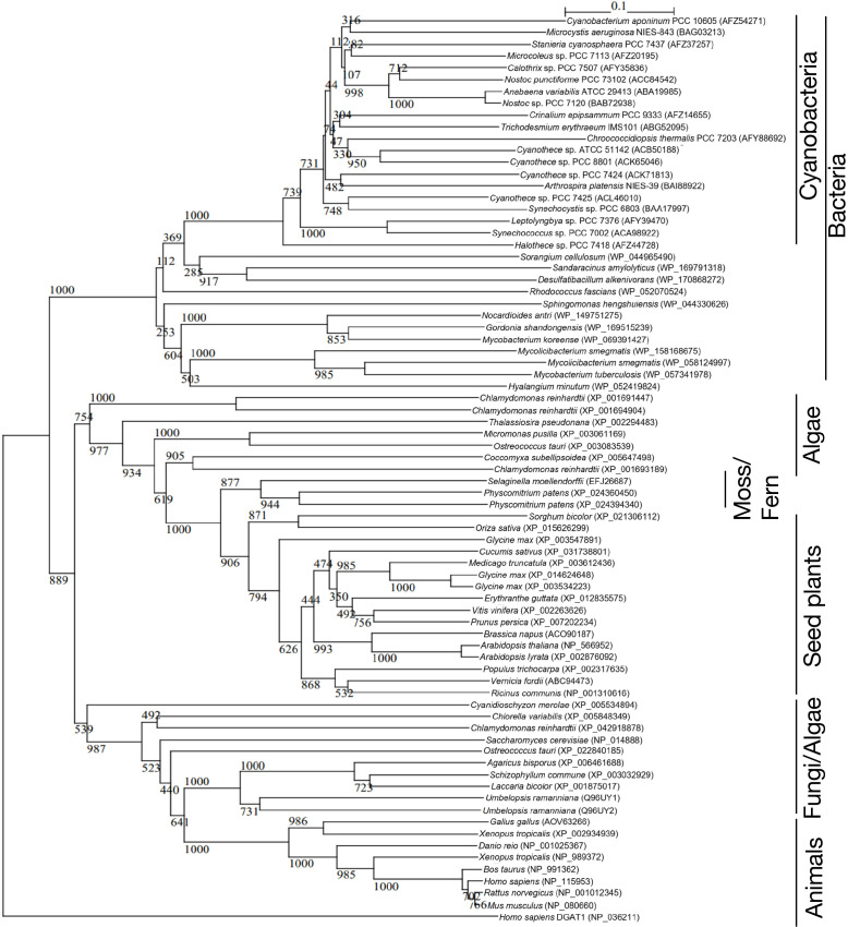 Figure 3