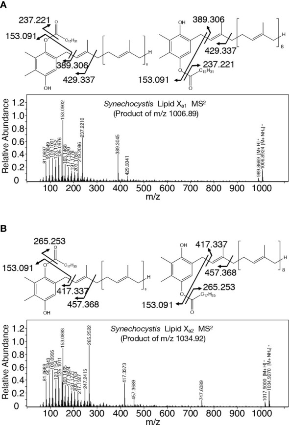 Figure 7