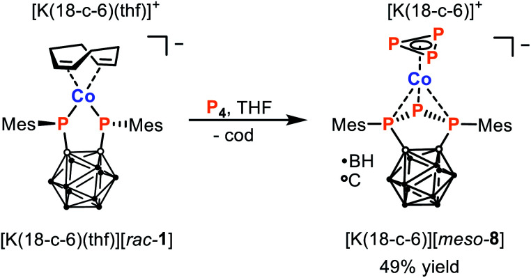 Scheme 5