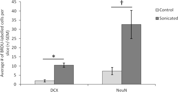 Fig 5