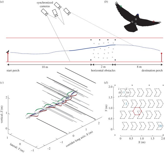 Figure 1.