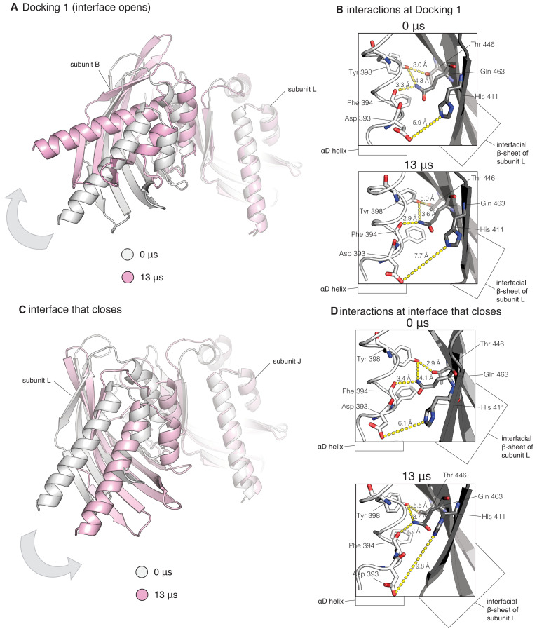 Figure 6—figure supplement 1.