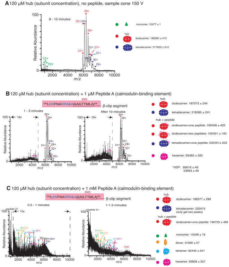 Figure 2—figure supplement 1.