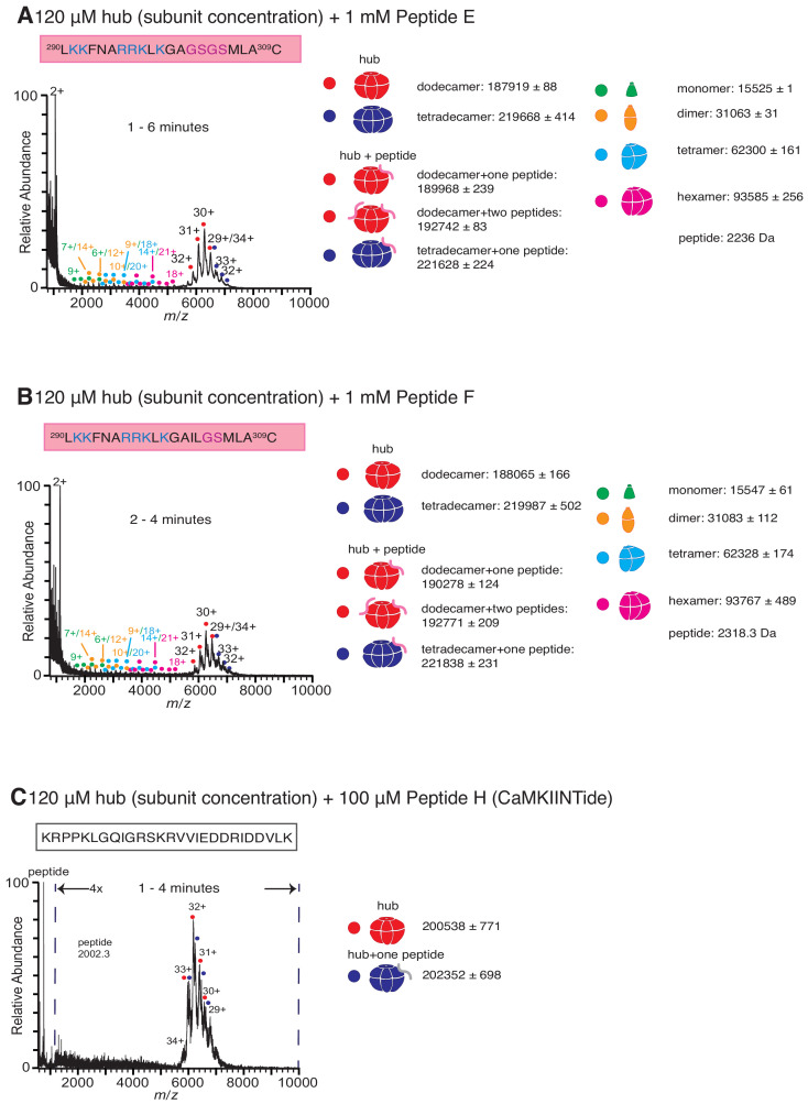 Figure 3—figure supplement 1.