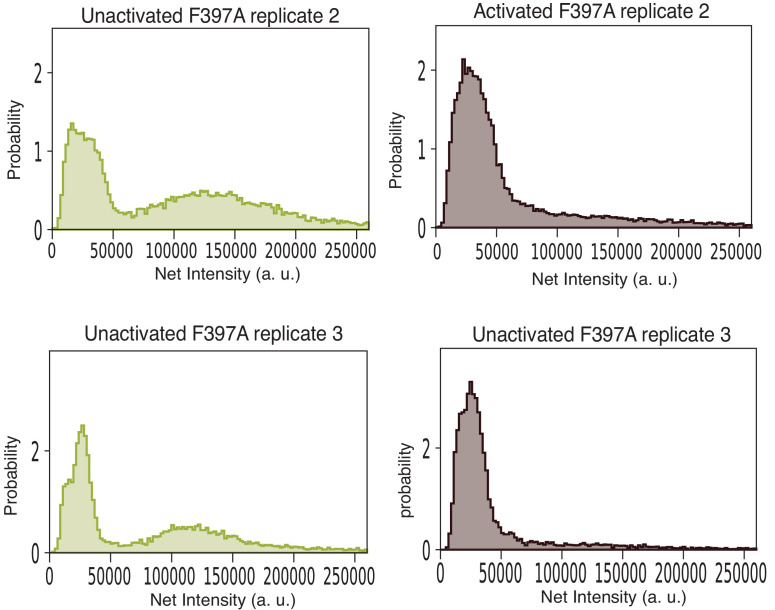 Figure 9—figure supplement 1.